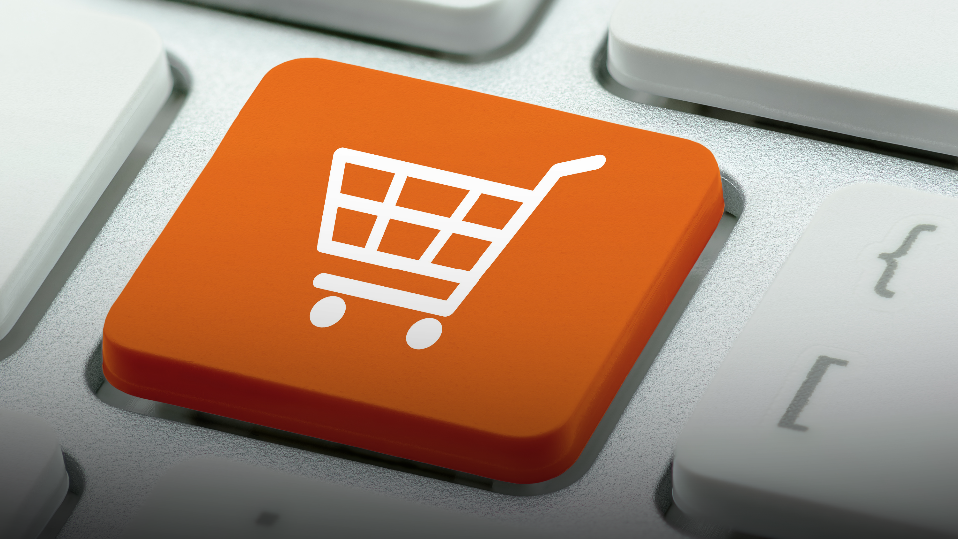 Estatuto del Consumidor