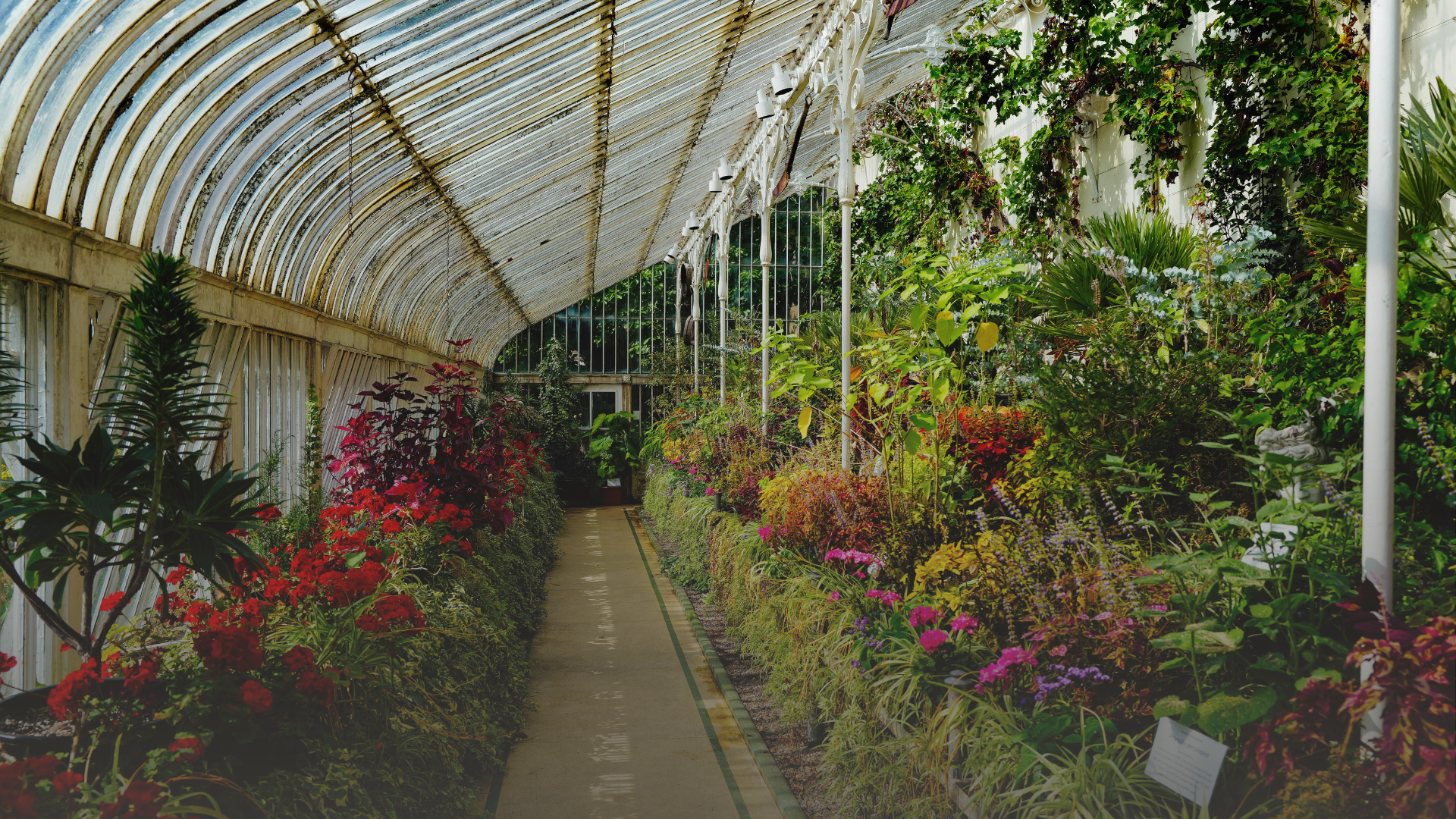 Industria de flores